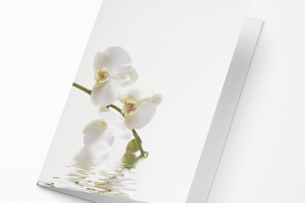 Rouwkaart Amco - Witte Orchidee