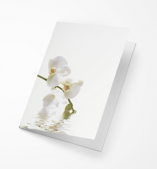Rouwkaart Amco - Witte Orchidee
